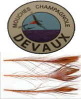 DEVAUX PAVONE